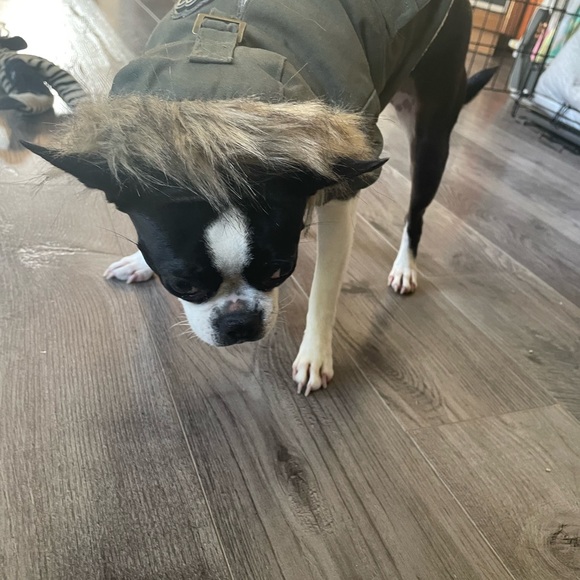 Canada Pooch winter jacket too small for my dog. size 10 like new - Picture 8 of 8